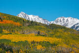 Seasons Collide