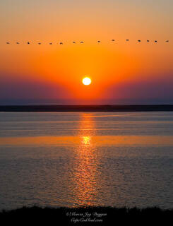 Morning Crossing was photographed during the golden hour by the ocean on Cape Cod.