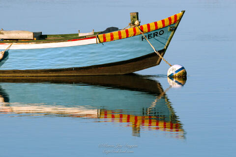 Blue Photos