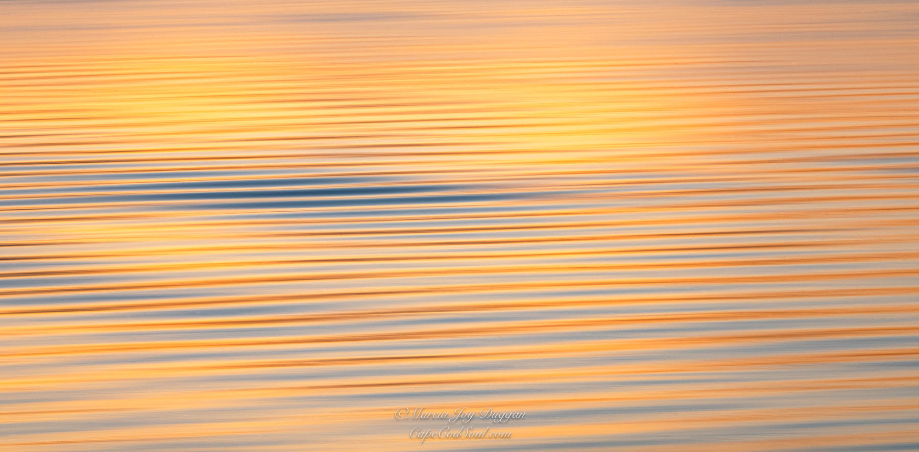 The beautiful yellow reflection in Creamsicle is from first light as the sun lit up the sky and reflected back on the rippled water.