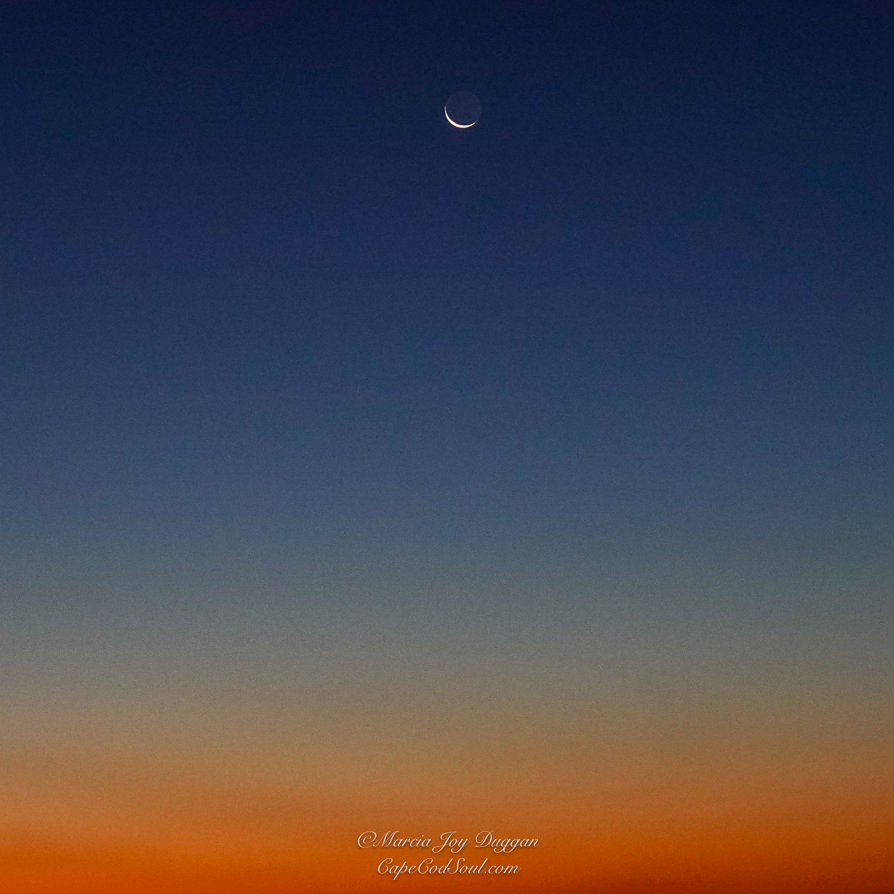 Crescent Moon was photographed on 11/11/23 during the waning phase of the moon.