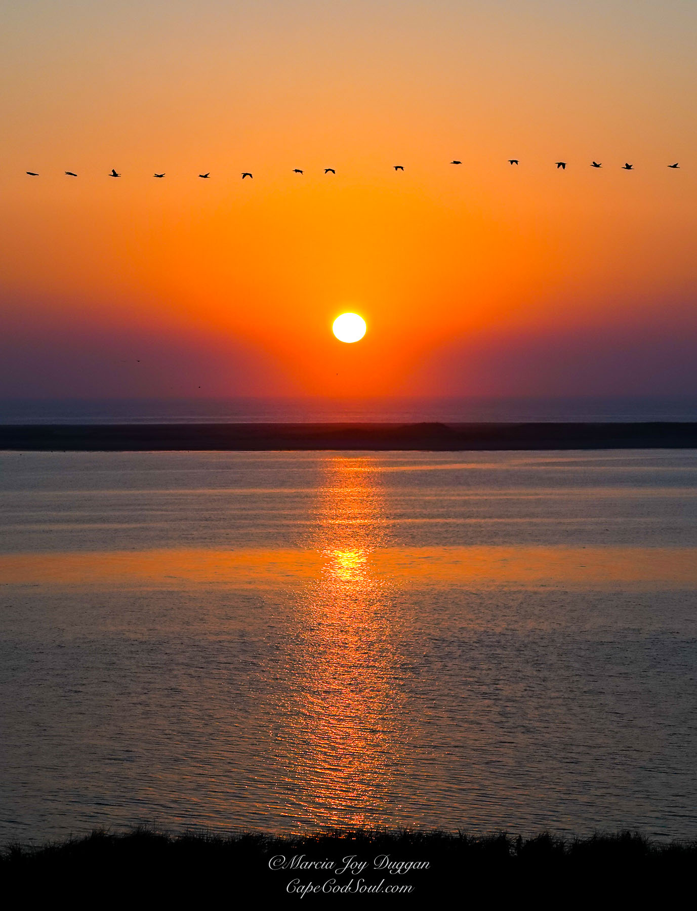 Morning Crossing was photographed during the golden hour by the ocean on Cape Cod.