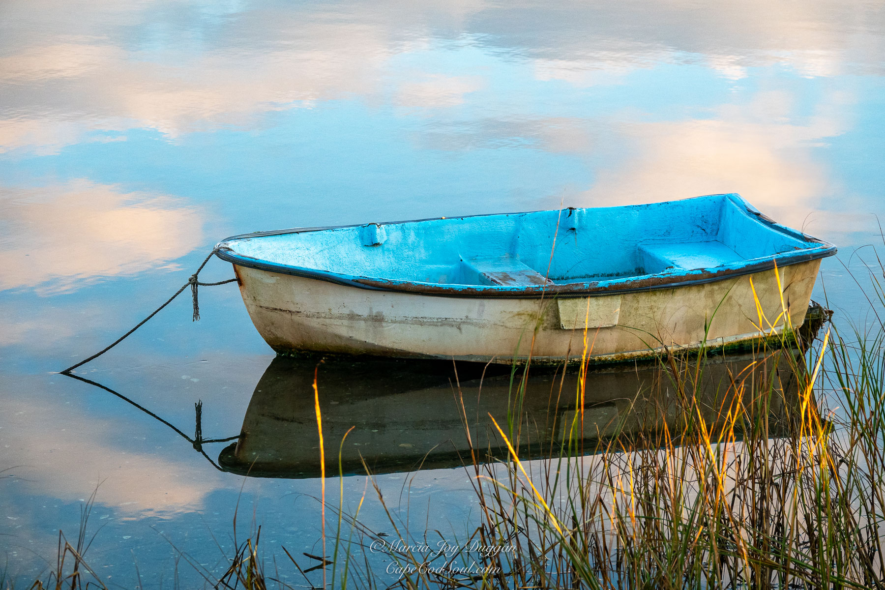 Imagine my surprise when I went looking around for a new spot with good light and came across this scene with the old blue Cape Cod skiff.