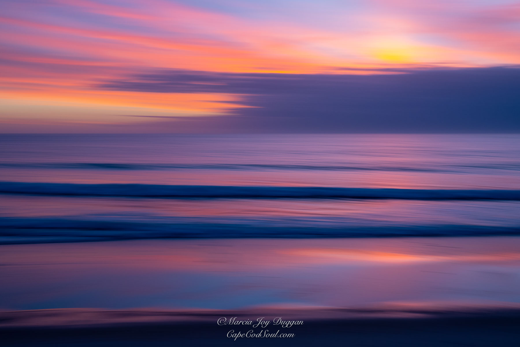 Purple Passion was photographed during a beautiful Nauset Beach sunrise.
