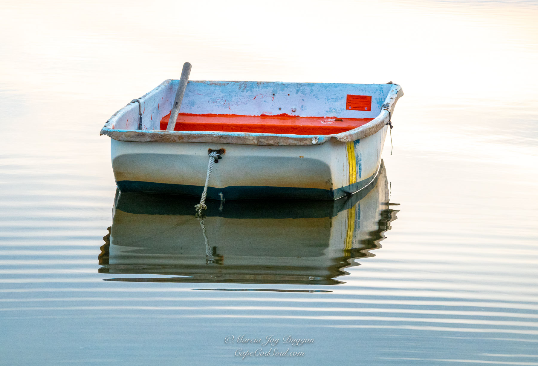 Ripples was photographed on a 'cape cod gray' morning shortly before a soft misty rain.