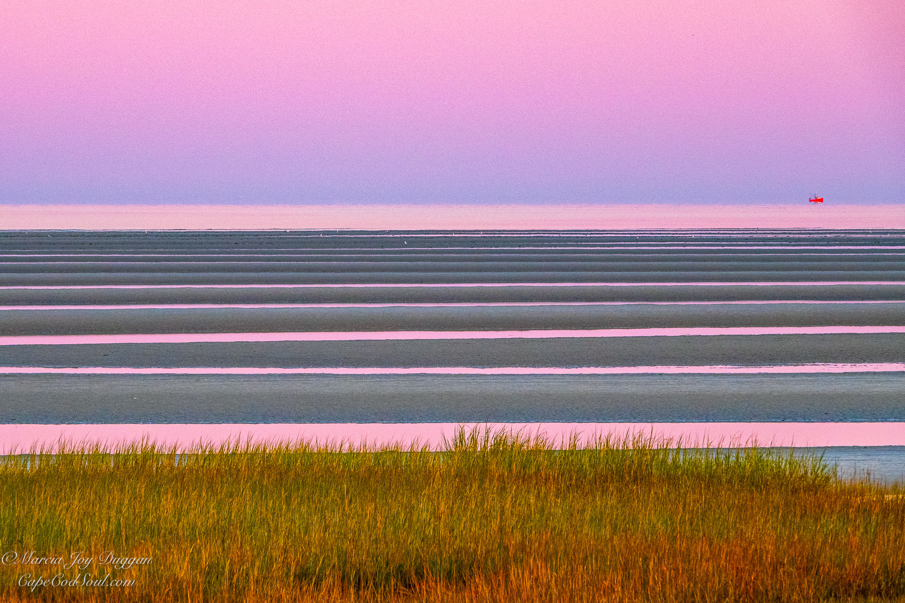 Skaket Rose was captured during the early morning light (also known as blue hour) at Skaket Beach on Cape Cod Bay in Orleans, MA.  